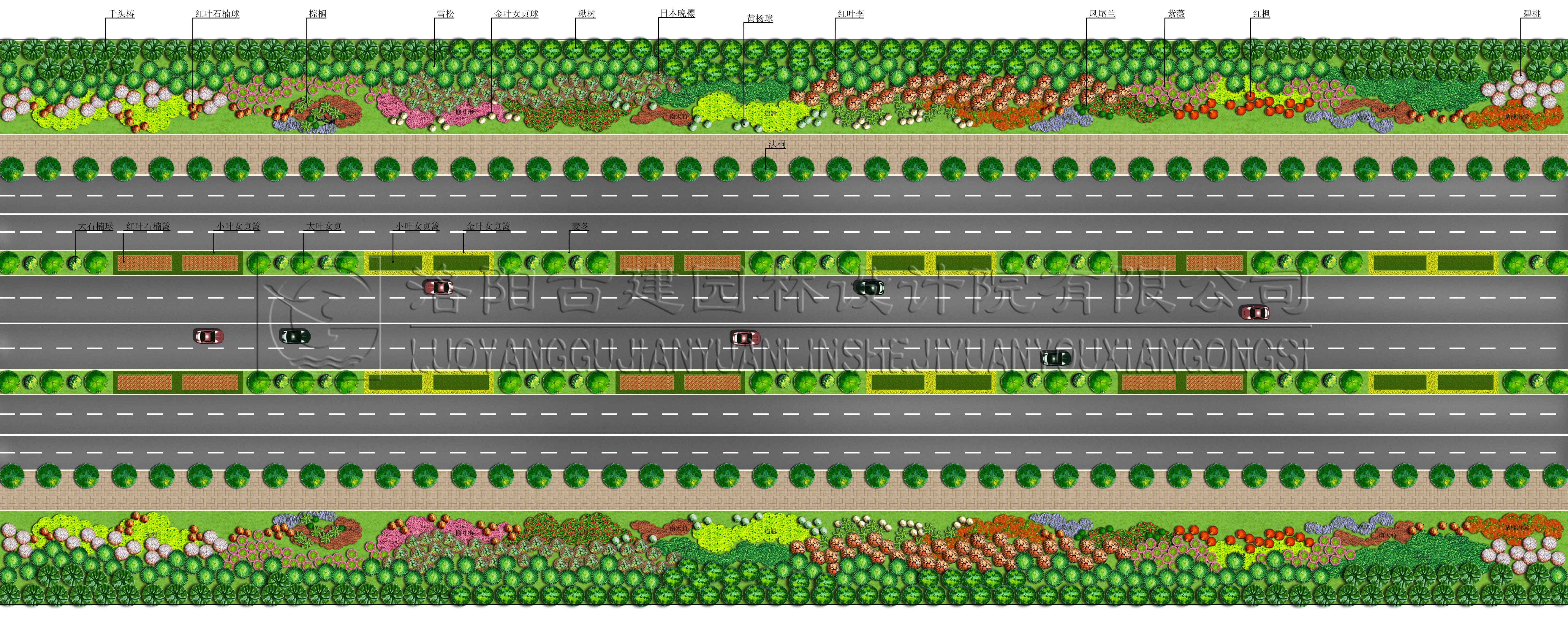 1608088434289341.jpg 207省道.jpg